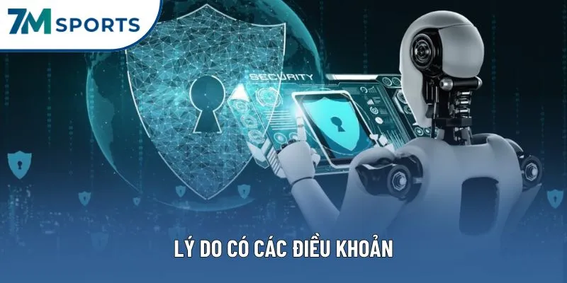 Lý do có các điều khoản