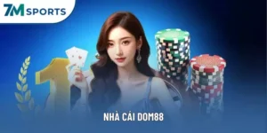 Nhà Cái Dom88 - Trải Nghiệm Giải Trí Đỉnh Cao Mỗi Ngày